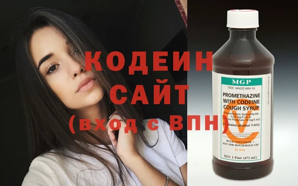 прущие грибы Бородино