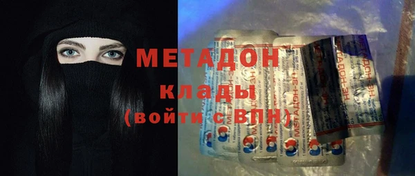 прущие грибы Бородино