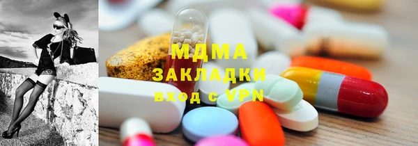 прущие грибы Бородино