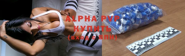 прущие грибы Бородино