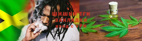 прущие грибы Бородино