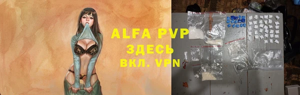 индика Бугульма
