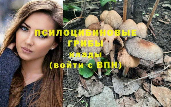 индика Бугульма
