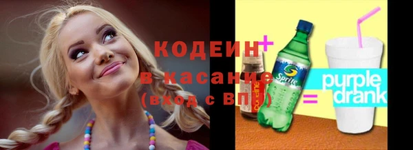 прущие грибы Бородино