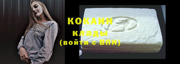 прущие грибы Бородино