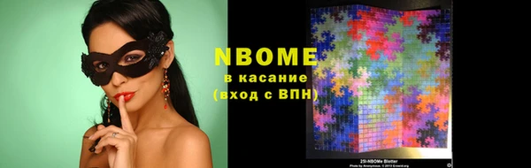 прущие грибы Бородино