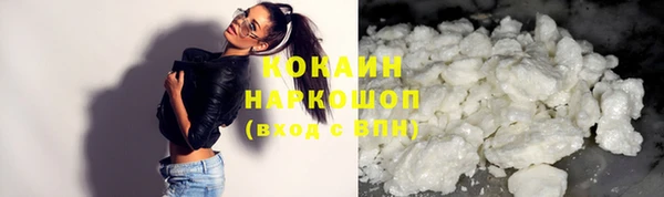 индика Чита