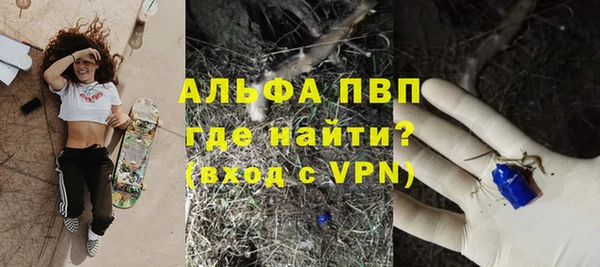индика Бугульма