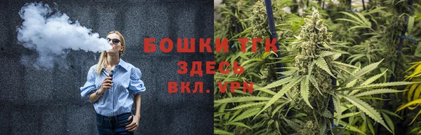 прущие грибы Бородино