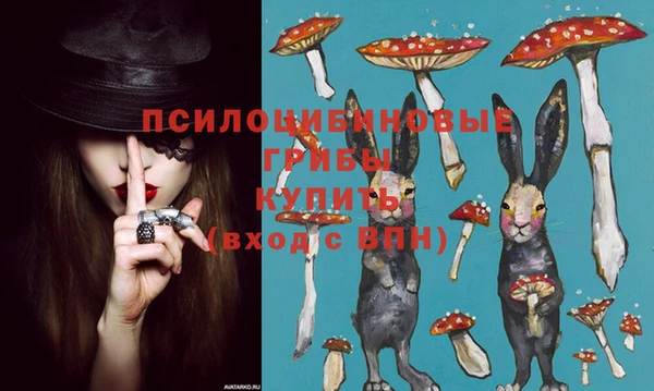 PSILOCYBIN Вязьма