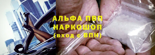 индика Бугульма