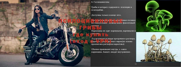 индика Бугульма