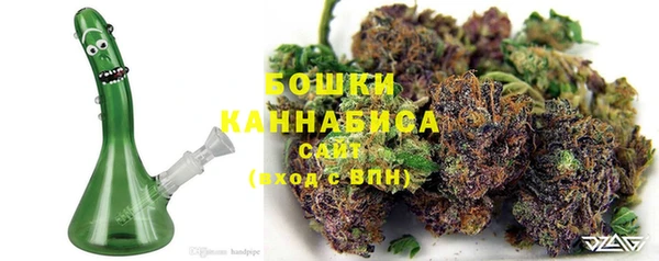 прущие грибы Бородино