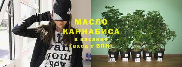 индика Бугульма