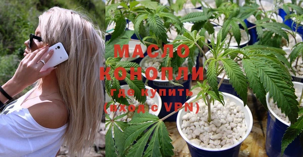 прущие грибы Бородино