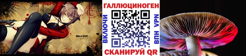 это официальный сайт  Будённовск  Галлюциногенные грибы Cubensis 